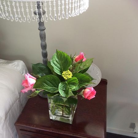 Firth Street Mews B&B Matamata Dış mekan fotoğraf