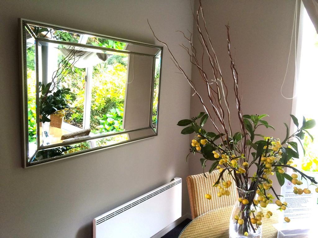 Firth Street Mews B&B Matamata Dış mekan fotoğraf