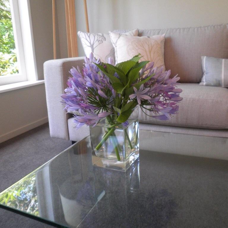 Firth Street Mews B&B Matamata Dış mekan fotoğraf